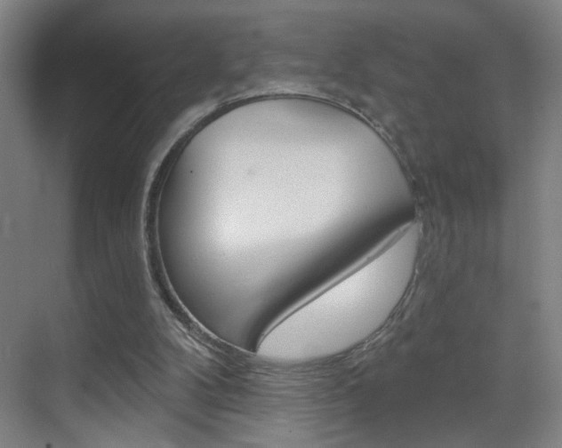 X0000069790104200605190854