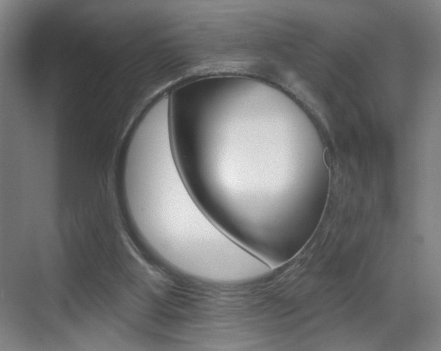 X0000069790107200605190854