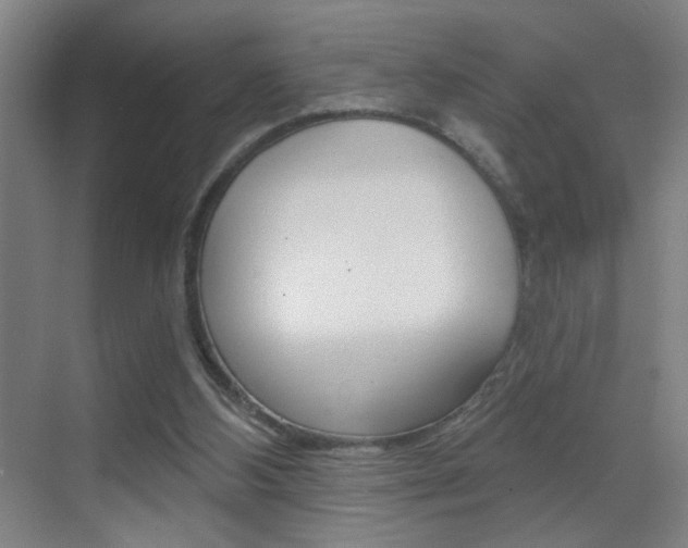 X0000069790108200605190854