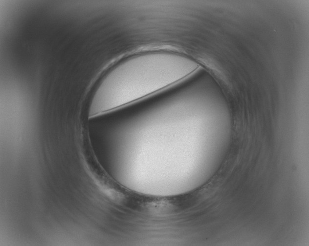 X0000069790112200605190854