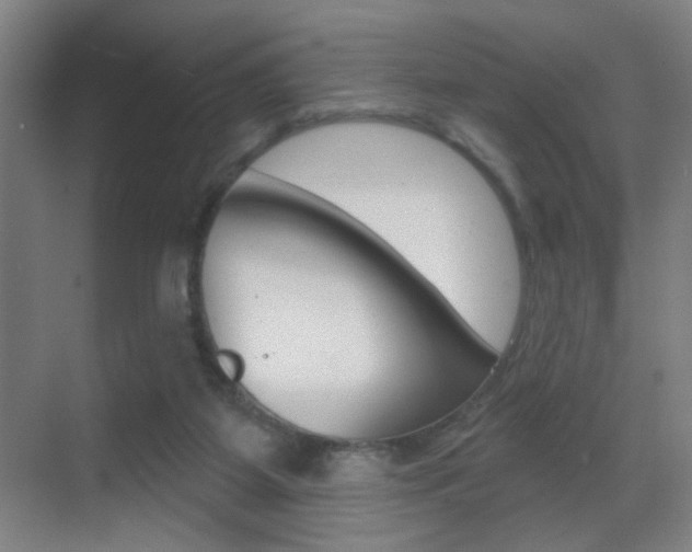 X0000069790115200605190854