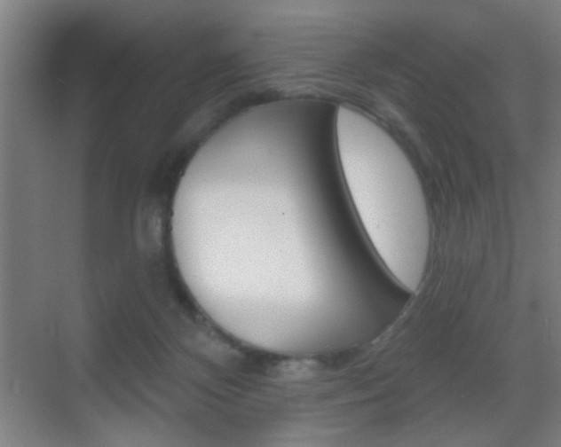 X0000069790124200605190854