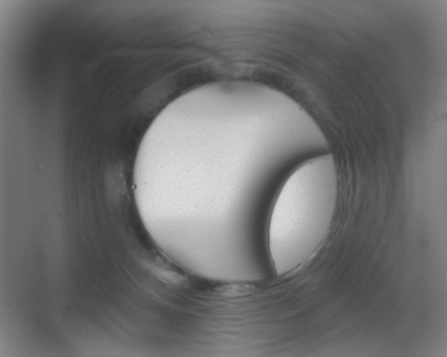 X0000069790128200605190853