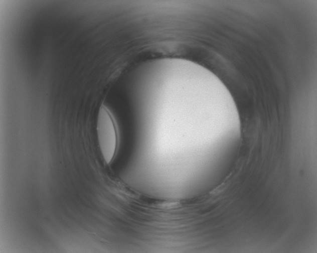X0000069790132200605190853