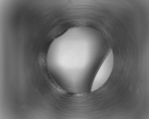 X0000069790141200605190853
