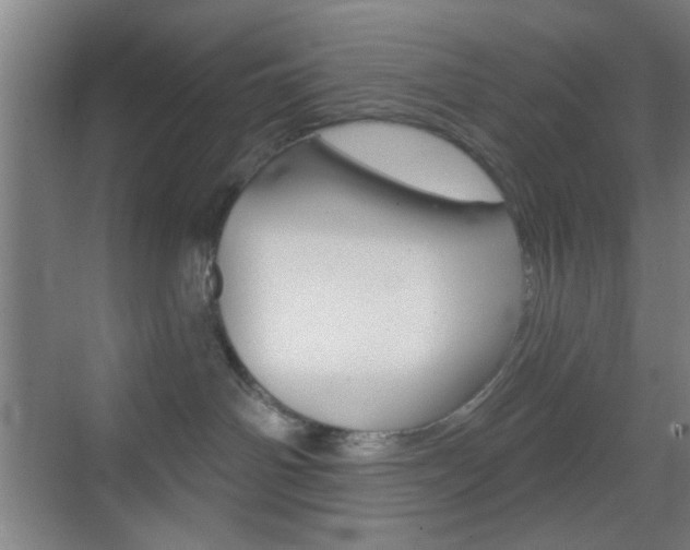 X0000069790142200605190853