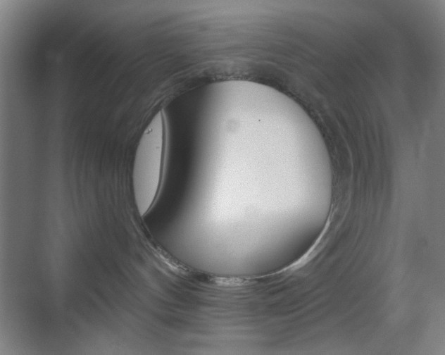 X0000069790144200605190853