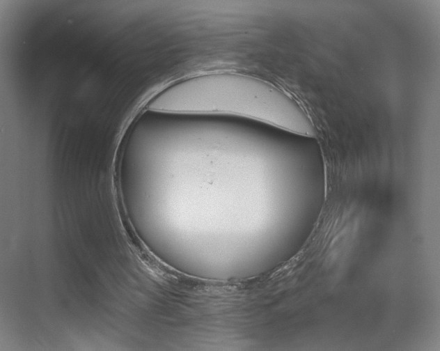 X0000069790147200605190852