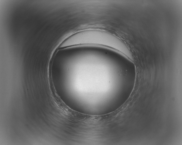 X0000069790148200605190852