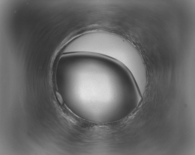 X0000069790150200605190852