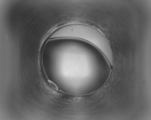 X0000069790152200605190852