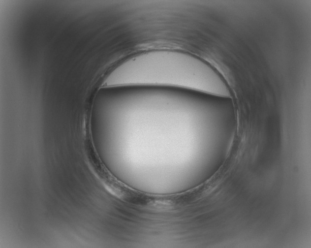 X0000069790157200605190853