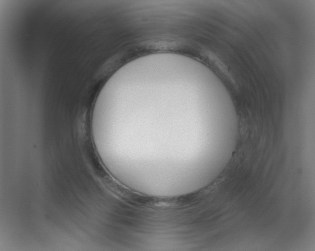 X0000069790163200605190853