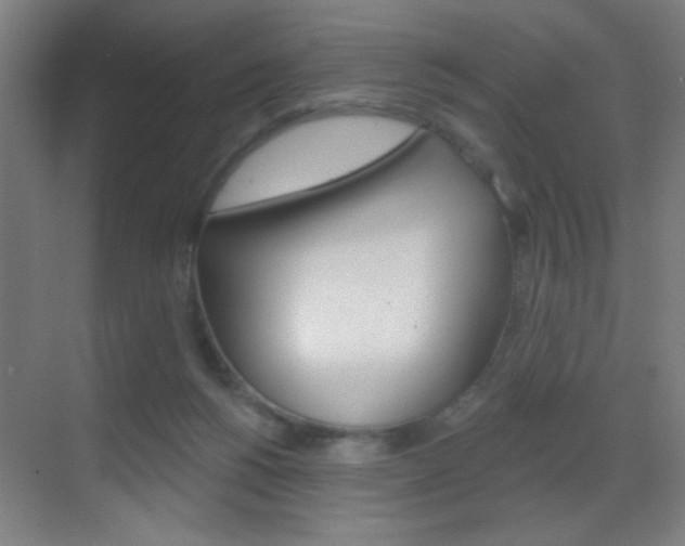 X0000069790168200605190853