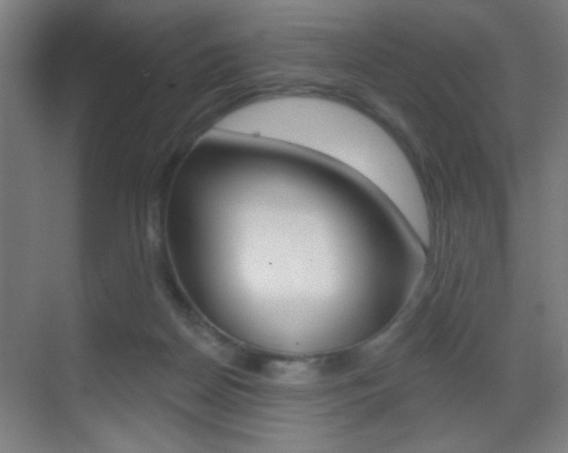 X0000069790170200605190853