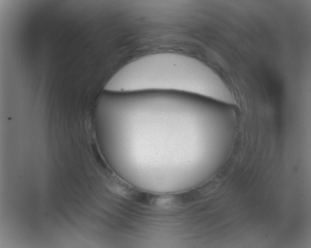 X0000069790173200605190853