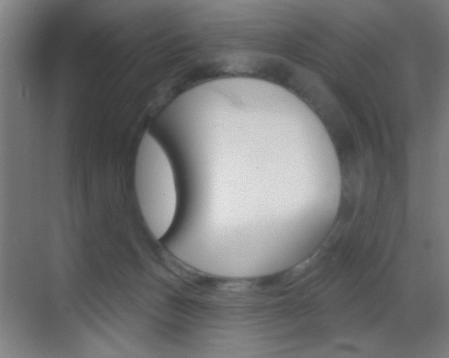 X0000069790175200605190853