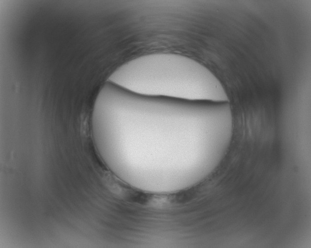 X0000069790177200605190853