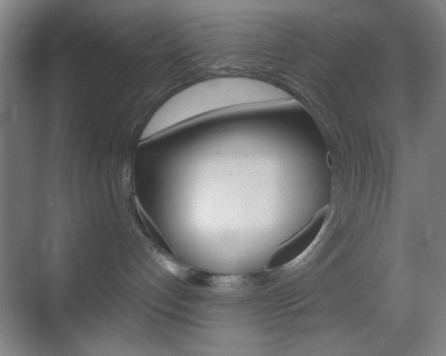 X0000069790192200605190853