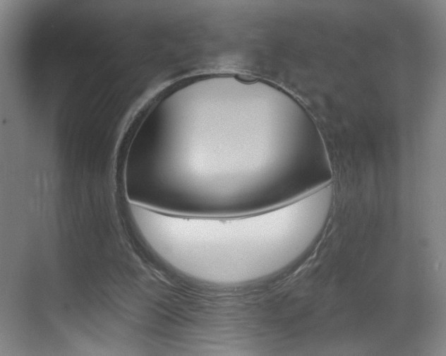 X0000069790200200605190852