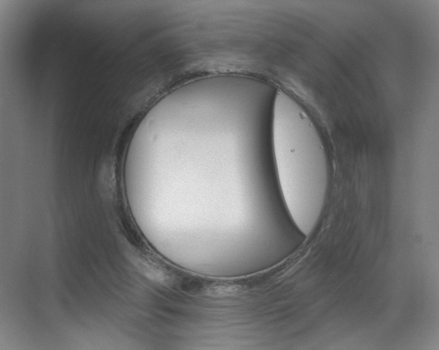 X0000069790202200605190852