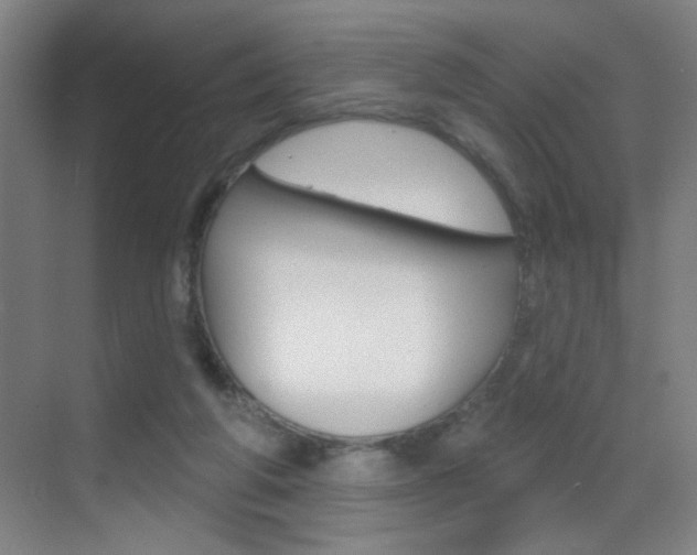 X0000069790210200605190852