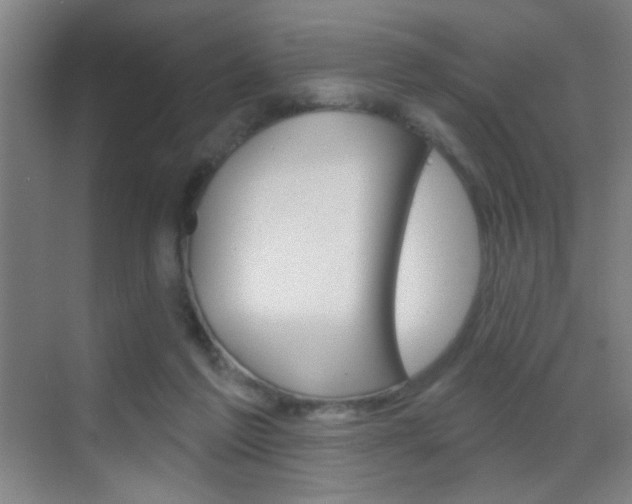 X0000069790213200605190852