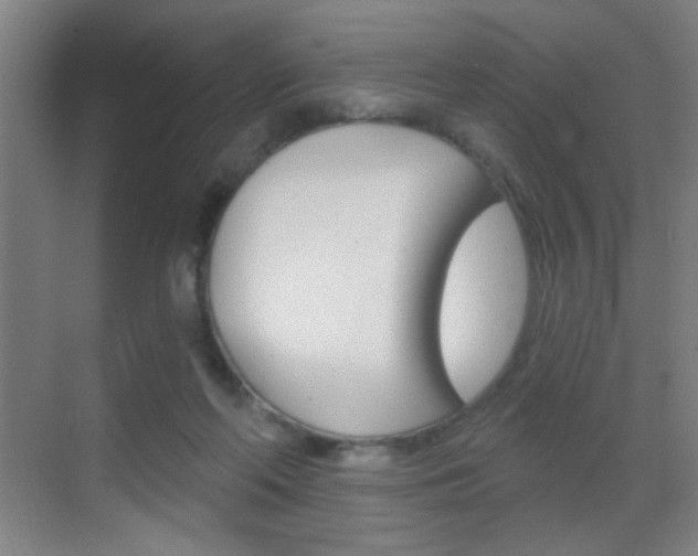 X0000069790214200605190852