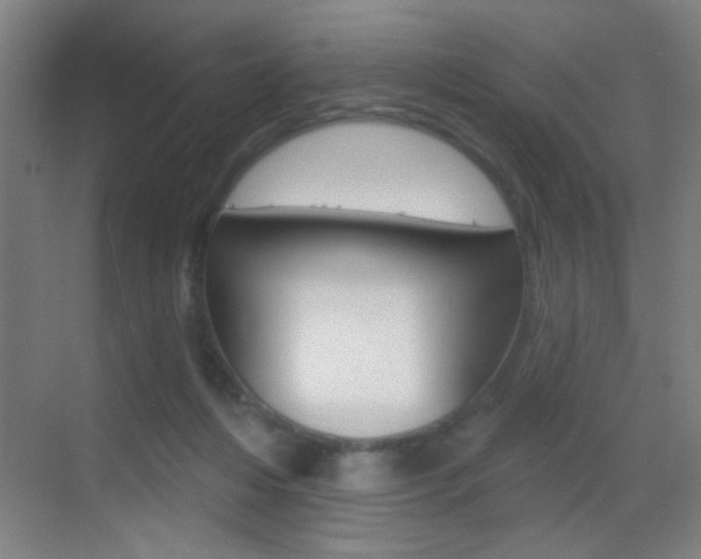 X0000069790216200605190852