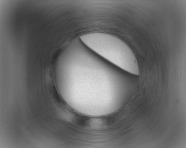 X0000069790218200605190852
