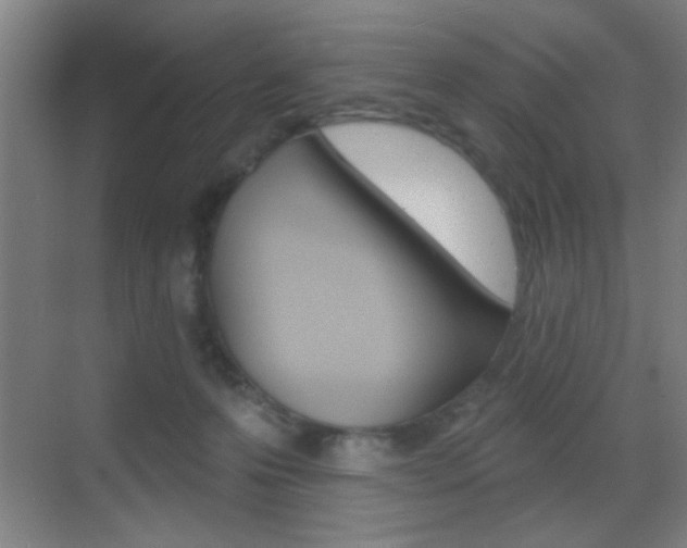 X0000069790223200605190852