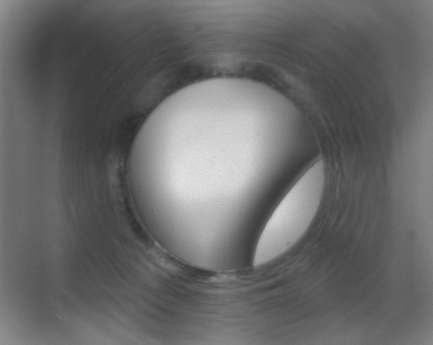 X0000069790225200605190852