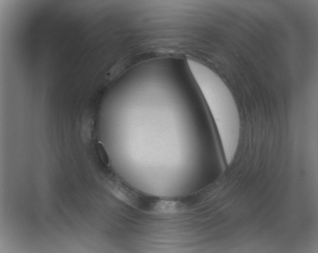 X0000069790227200605190852