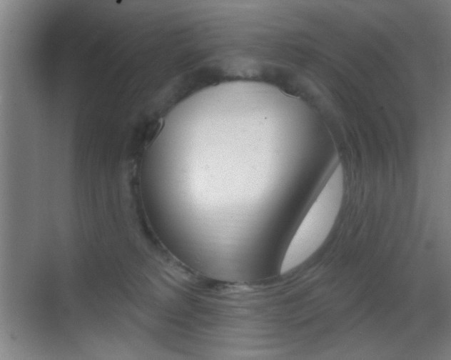 X0000069790229200605190852