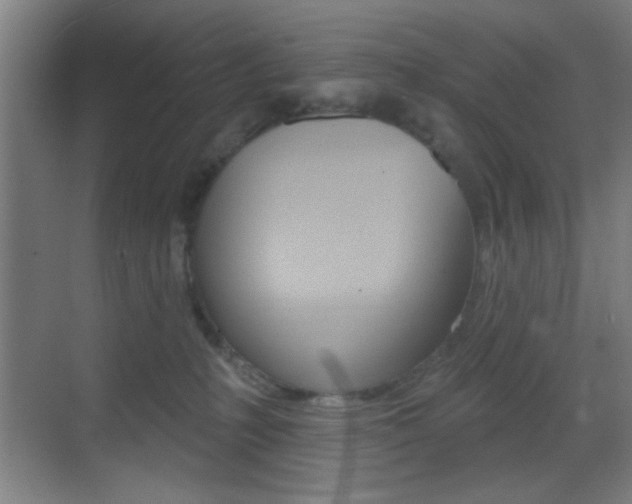 X0000069790231200605190852