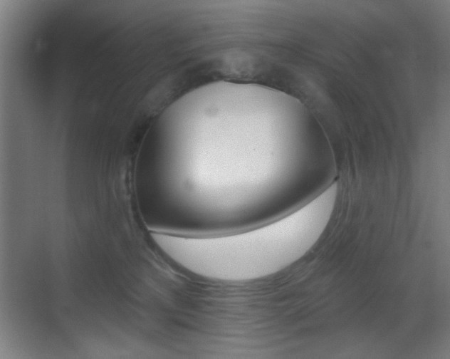 X0000069790233200605190852