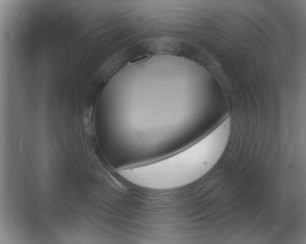X0000069790239200605190852