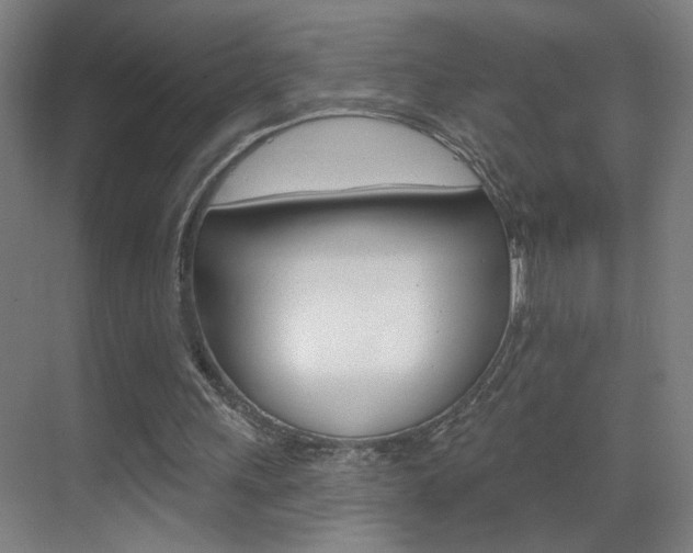 X0000069790243200605190851