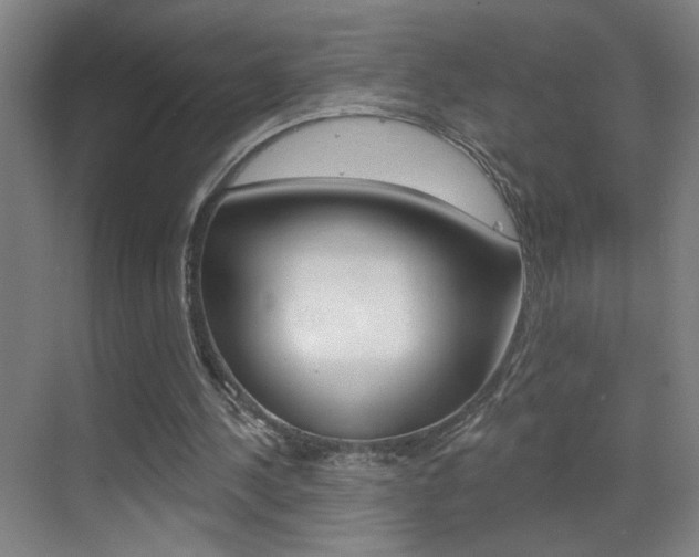 X0000069790244200605190851