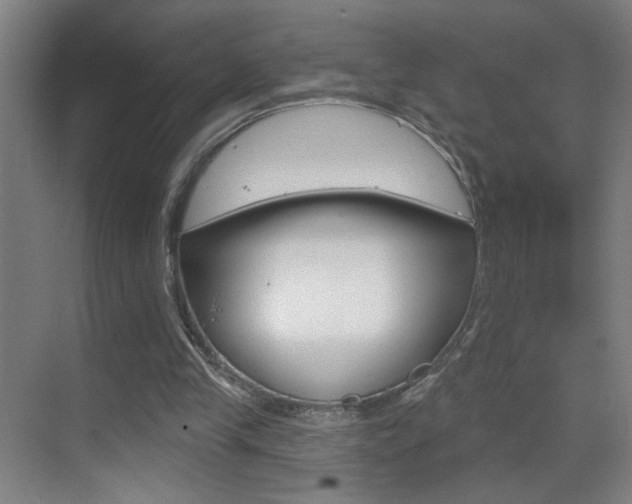 X0000069790245200605190851