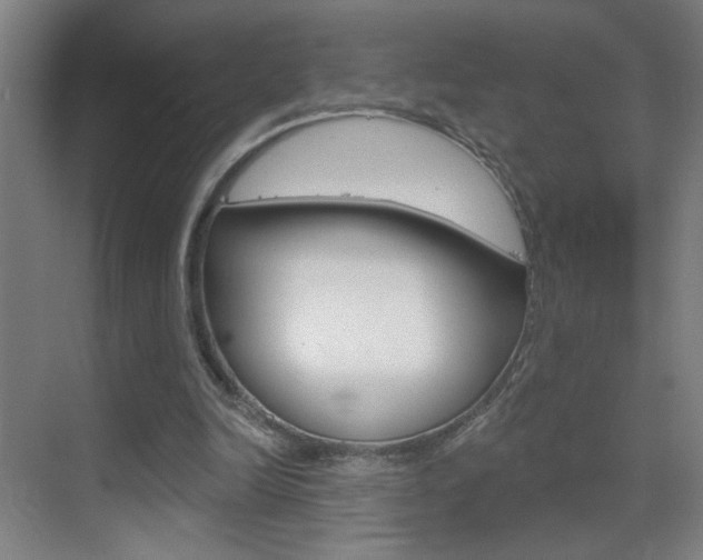 X0000069790246200605190851