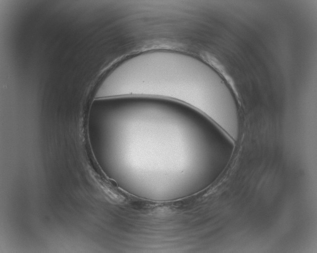 X0000069790249200605190851