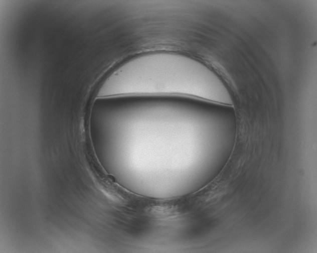 X0000069790251200605190851