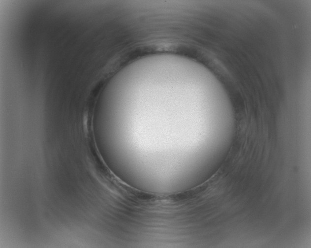 X0000069790262200605190851