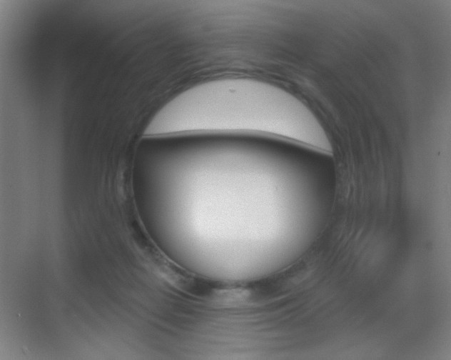 X0000069790266200605190851