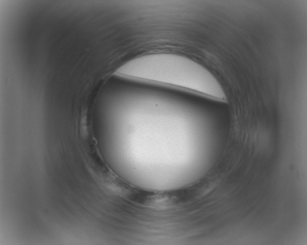 X0000069790267200605190851