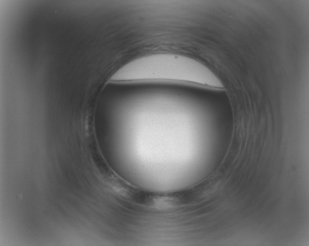 X0000069790268200605190851