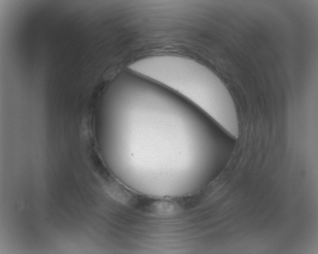 X0000069790272200605190851