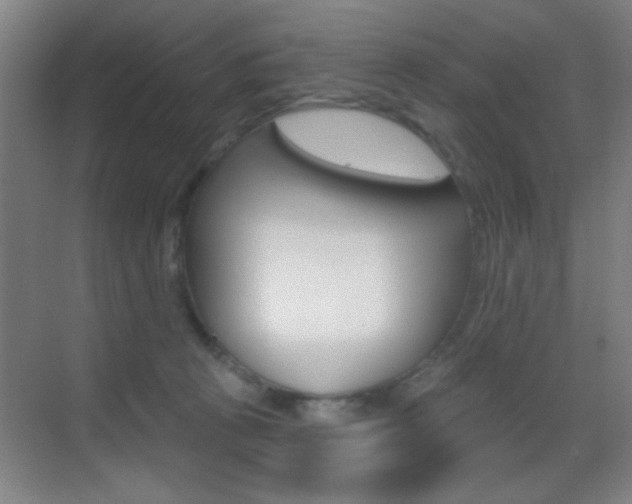 X0000069790273200605190851