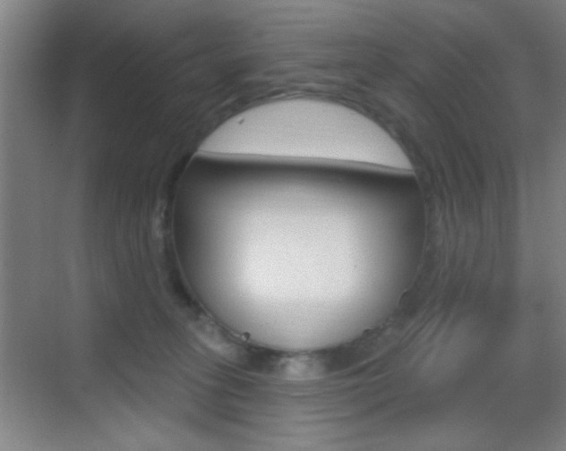 X0000069790275200605190851